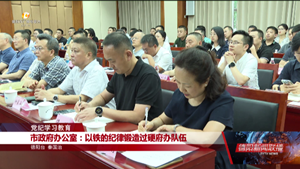 党纪学习教育：市政府办、市委宣传部