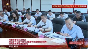 市委常委会召开会议