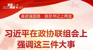 奋进强国路·跟总书记上两会系列报道之四 习近平在政协联组会上强调这三件大事