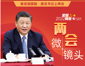 奋进强国路·跟总书记上两会系列报道之三 微镜头：深刻阐述对“粮食安全”“乡村振兴”的思考 总书记这些话语重心长