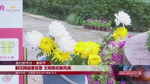 【网络中国节】鲜花网络寄哀思 文明祭祀新风尚